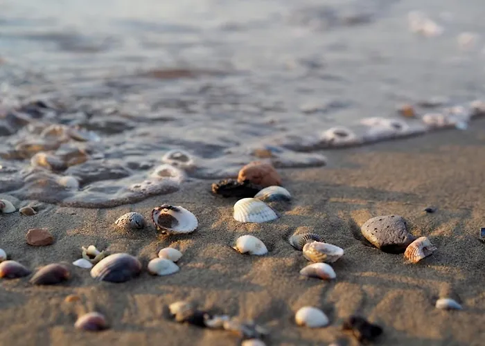 Spacious And Bright Flat With Swimming Pool - Beahost Apartament *