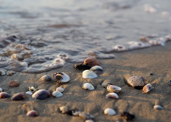 Spacious And Bright Flat With Swimming Pool - Beahost